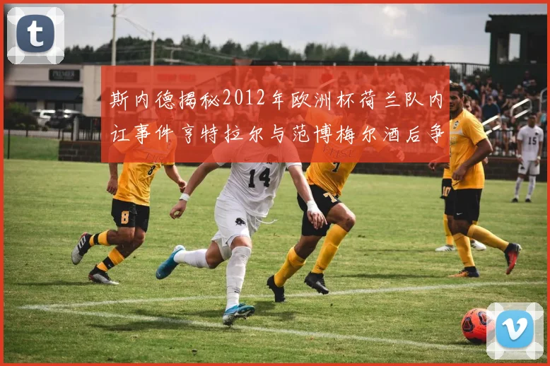 斯内德揭秘2012年欧洲杯荷兰队内讧事件亨特拉尔与范博梅尔酒后争执内幕