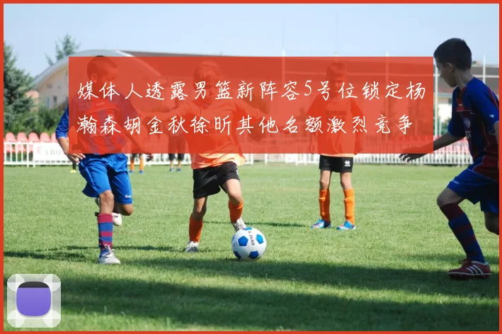 媒体人透露男篮新阵容5号位锁定杨瀚森胡金秋徐昕其他名额激烈竞争